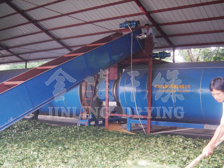 Drying Technologies and Equipment for Sawdust and Lees